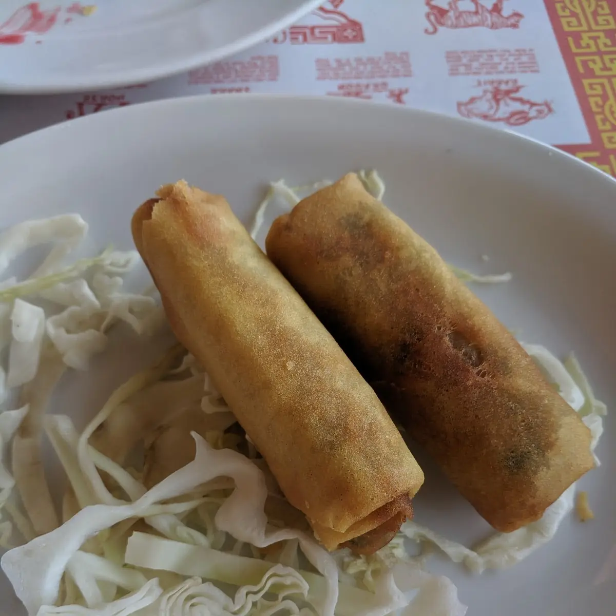 Fried Vegetarian Egg Rolls 2 春卷